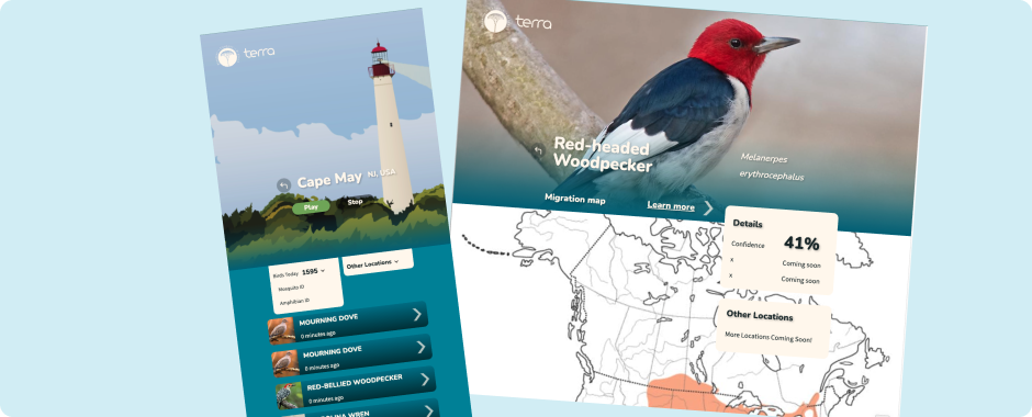 Terra Live Web Stream Design